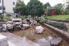 附近小溪