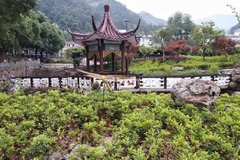 周围环境