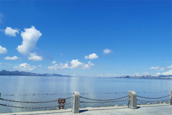 深圳湾公园:海滨的悠然画卷 海滨风景