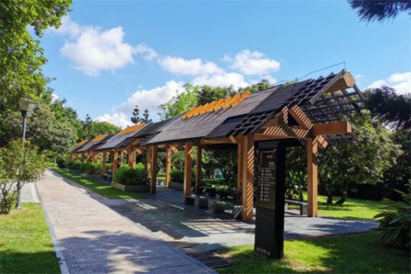 深圳湾公园:海滨的悠然画卷 深圳湾公园