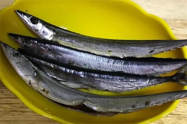 刀鱼 刀鱼食材