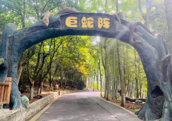 快乐女神节,就来百草原 巨蛇阵