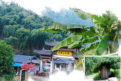 大竹海