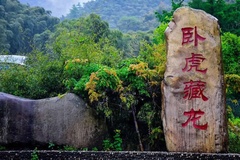 卧虎藏龙