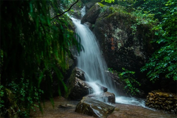 深山古刹,来一场带着禅意的吸氧之旅吧 大树王景区