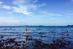 大海