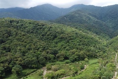 罗浮山