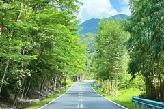 周边道路