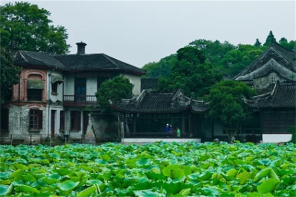 古韵南浔:品味江南水乡的历史与风情 刘园
