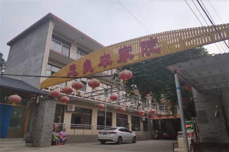 忠良农家院 忠良农家院全景