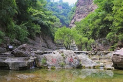 风景