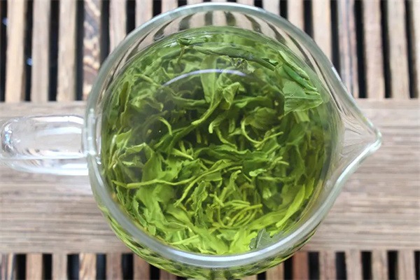 日照绿茶 杯中绿茶
