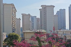 窗外风景