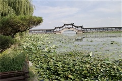 湖面