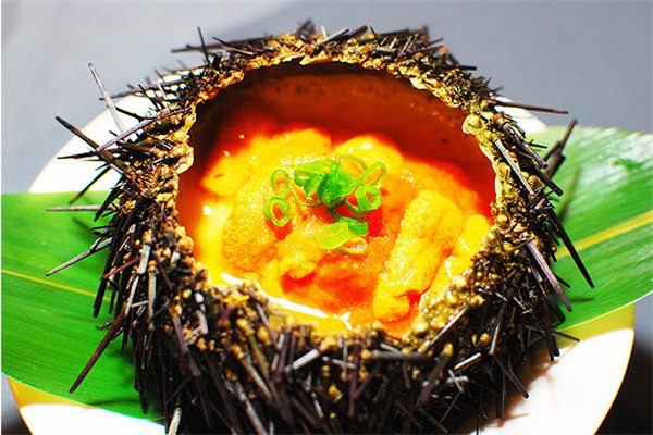 长岛海胆 芙蓉海胆
