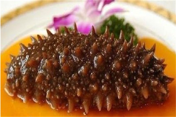 蓬莱海参 餐桌上的海参