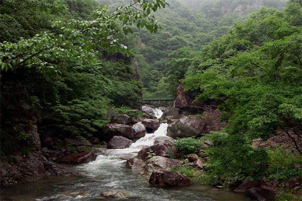 夏日在白水涧的茶道寻源之旅 白水涧溪流