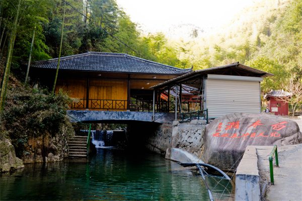 夏日在白水涧的茶道寻源之旅 临安白水涧