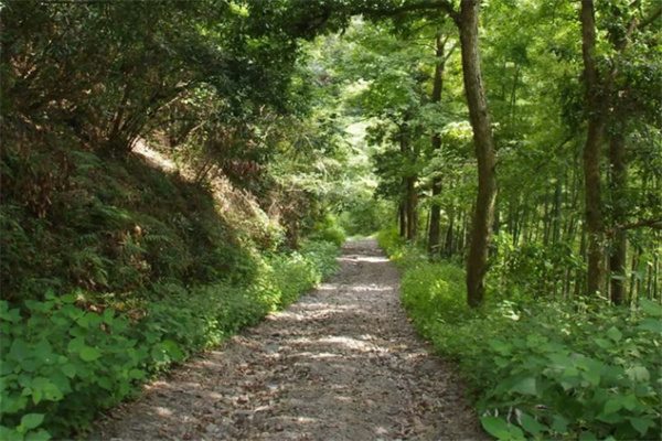 夏日清凉之旅——探寻安吉菖蒲谷的美丽与宁静 菖蒲谷风景