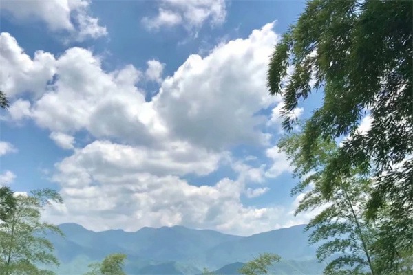 夏日清凉之旅——探寻安吉菖蒲谷的美丽与宁静 蓝天白云