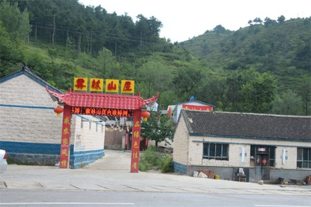 雾林山庄 雾林山庄全景