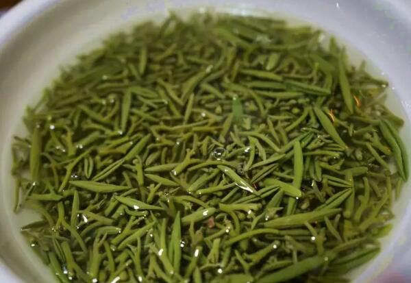 太湖莼菜 碧绿的太湖莼菜