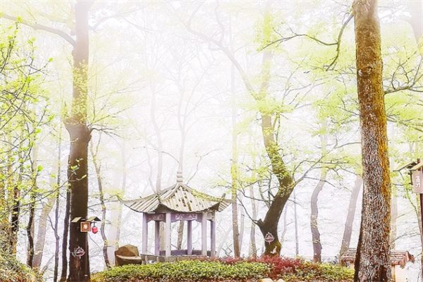 迷雾中的时光印记——浙江指南村的千年古韵与自然风光 莫家亭