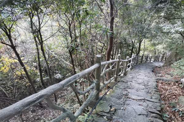 磐安百杖潭——自然之美的静谧所在 山间小道