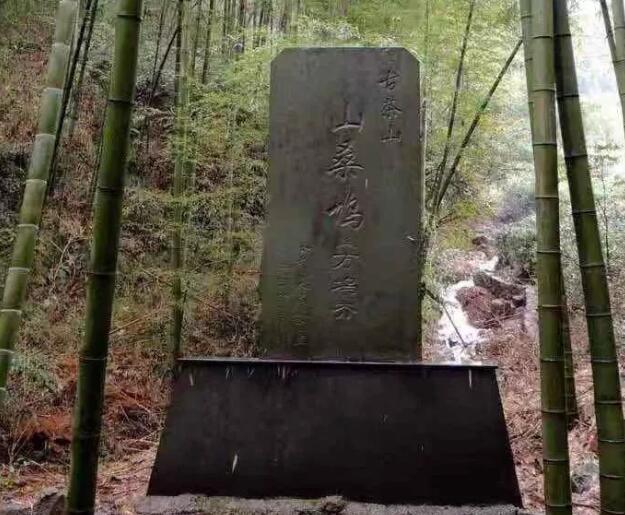 赏宜兴四条岭,感受贡茶古道文化 贡茶古道上的石碑