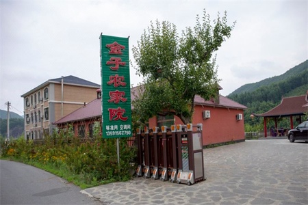 金子农家院 金子农家院全景