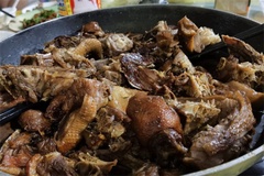 小母鸡