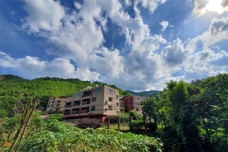 明月竹海山庄 明月竹海山庄全景