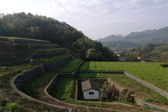 梯田