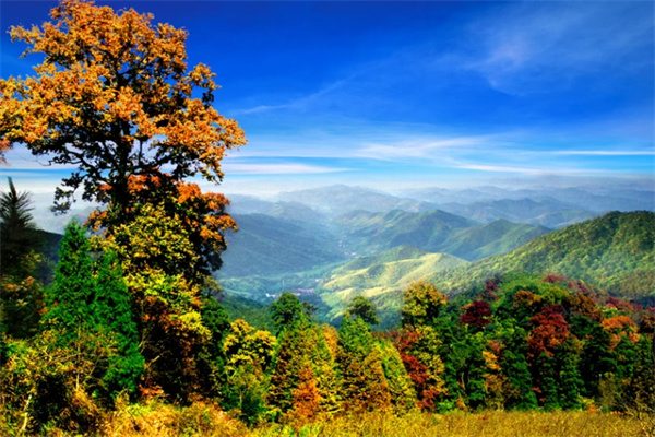临安自驾游——天目山大树王景区的神秘之旅 天目山景色