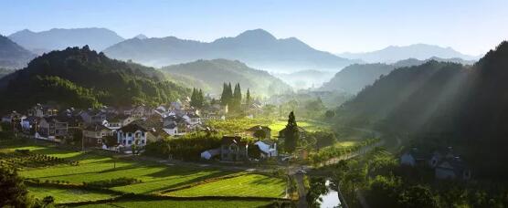 赏景采摘亲子游,来这里就对了! 安吉山间美景