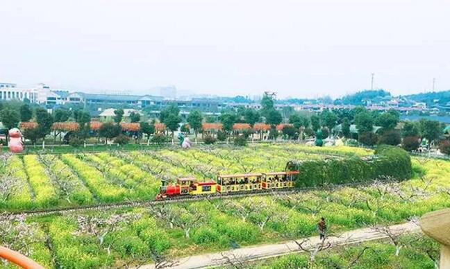 赏景采摘亲子游,来这里就对了! 山水灵峰休闲农业观光园