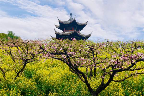 春日桃花盛开,望城山沟之美 城山沟九龙塔