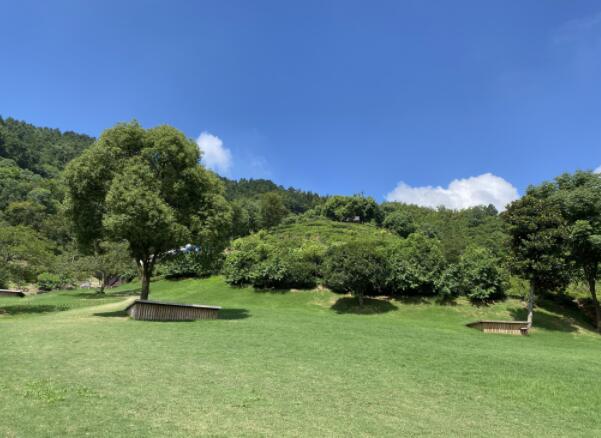 三天两晚安吉暑期漂流攻略(下) 蓝天白云