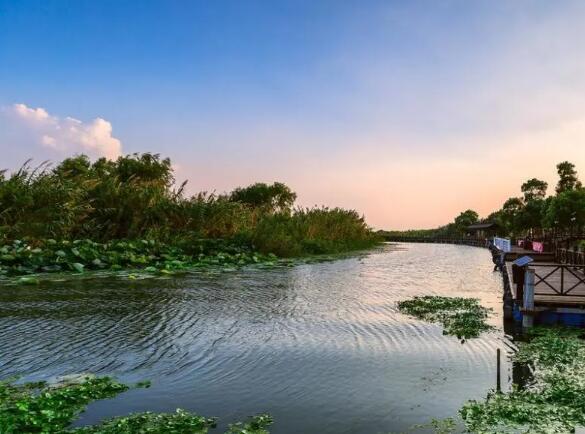 7月新开区域:苏州市阳澄湖、杭州市富阳区、宁波市余姚市简介 阳澄湖美景