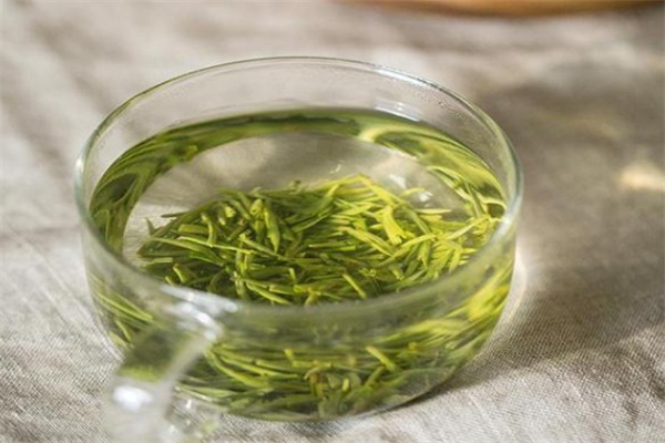 阳羡雪芽 雪芽泡茶