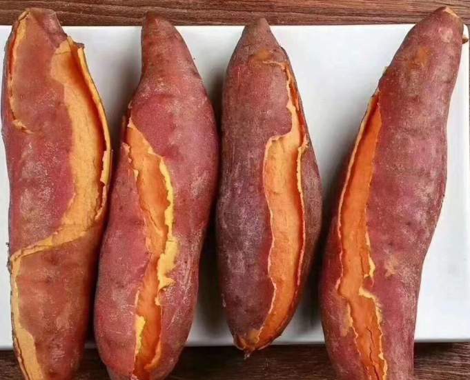 陆丰甘薯 陆丰甘薯