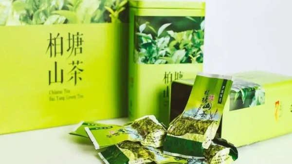 柏塘山茶