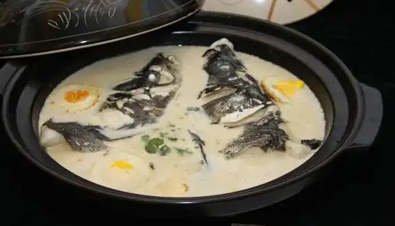花亭湖鳙鱼 砂锅鳙鱼