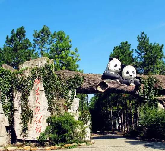 安吉一日游,打造你的完 熊猫乐园