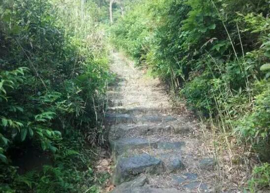 不一样的“茶马古道”, 山间小路