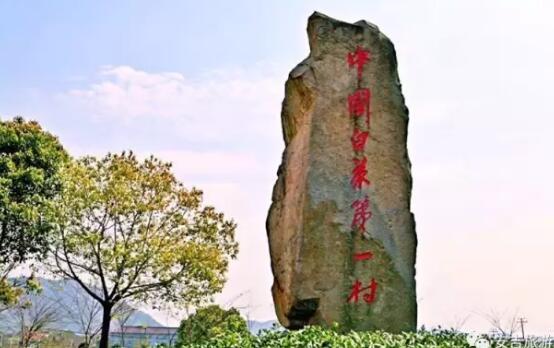 美丽安吉,魅力乡村 白茶休闲观光农业园