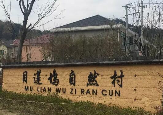 安吉醉美乡村之目莲坞自 目莲坞自然村