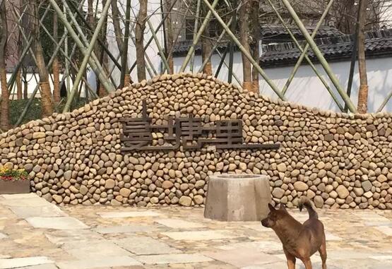 狗