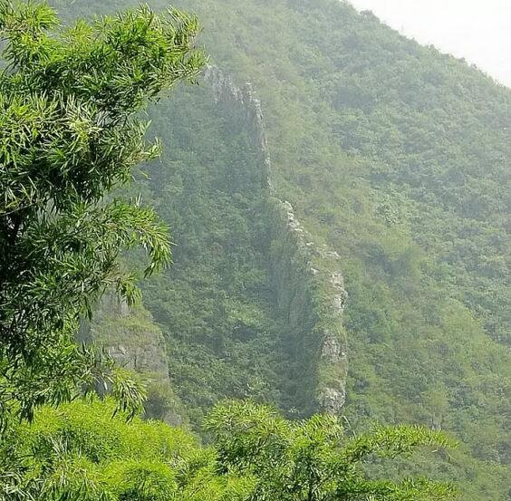 惊呆了,原来安吉也有座 山