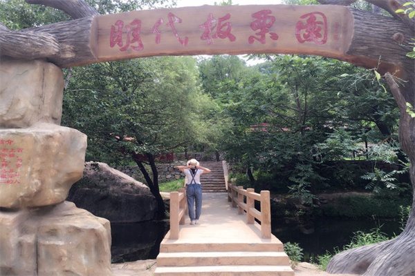 明代板栗园